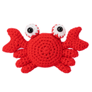 Kits de Crochet Créatifs d'Animaux pour débutants