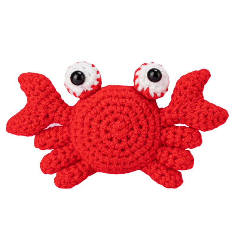 Kits de Crochet Créatifs d'Animaux pour débutants