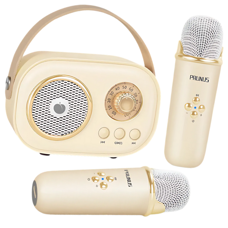 Mini Karaoké Bluetooth à double micro pour enfants