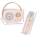 Mini Karaoké Bluetooth à double micro pour enfants