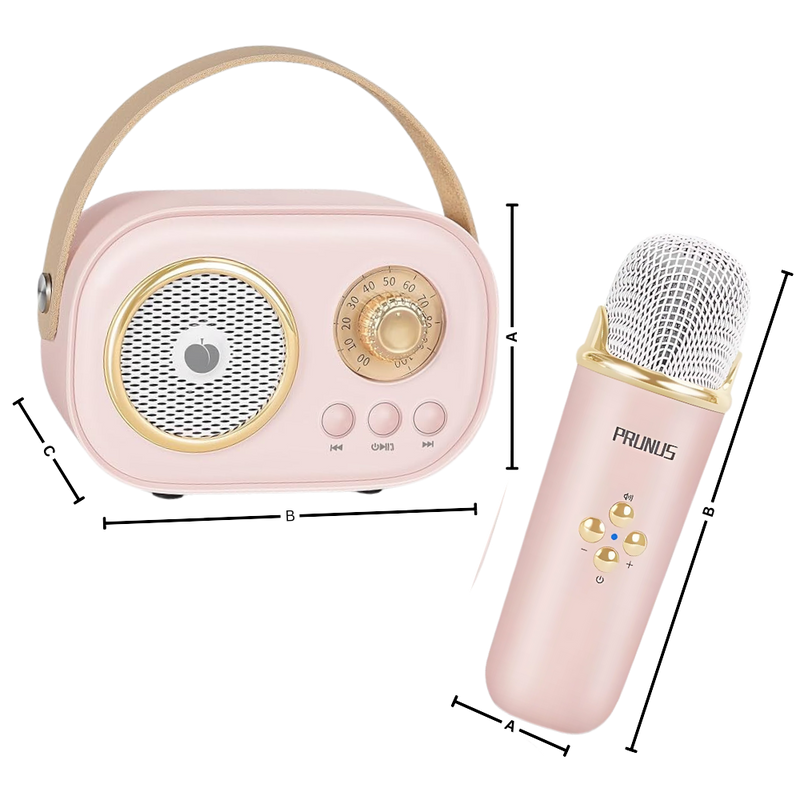 Mini Karaoké Bluetooth à double micro pour enfants