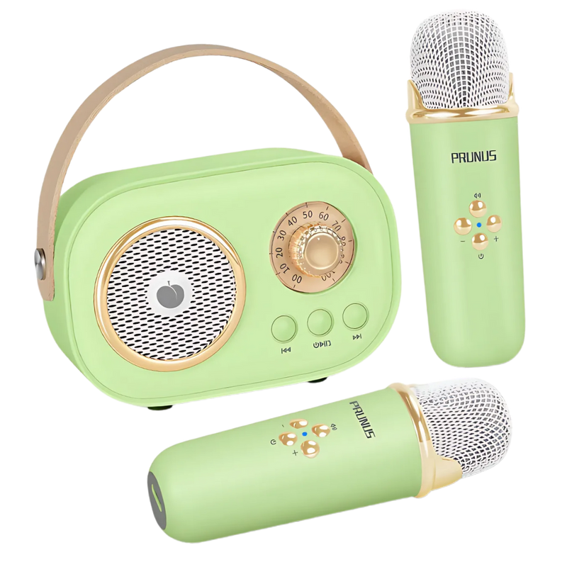 Mini Karaoké Bluetooth à double micro pour enfants