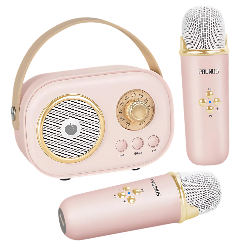 Mini Karaoké Bluetooth à double micro pour enfants