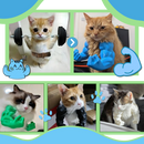 Costume pour chat bras de bodybuilder