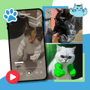 Costume pour chat bras de bodybuilder