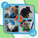 Costume pour chat bras de bodybuilder