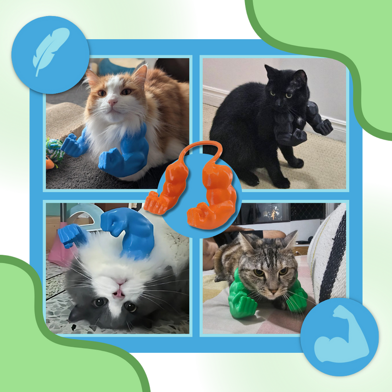 Costume pour chat bras de bodybuilder