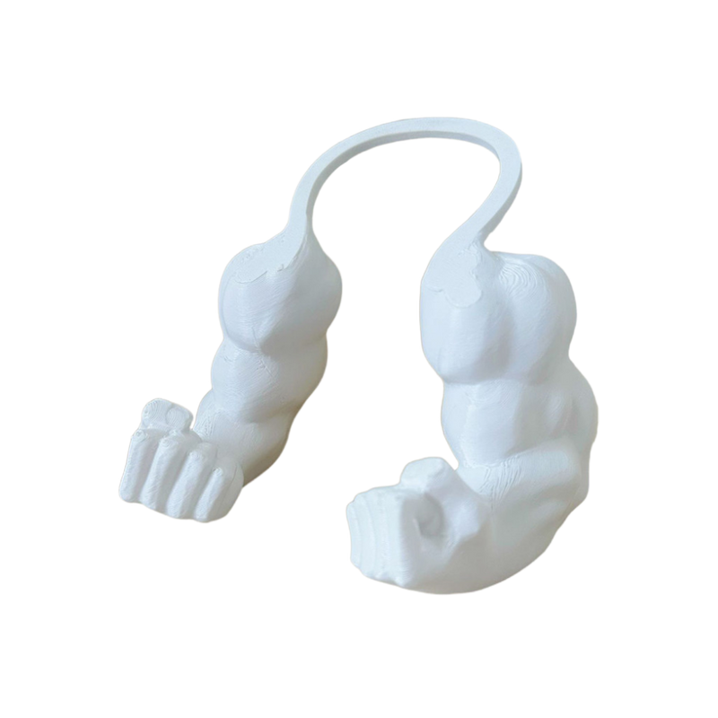 Costume pour chat bras de bodybuilder