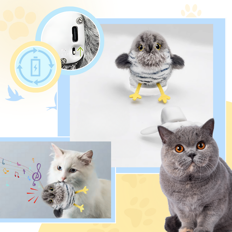Jouet interactif oiseau pour chat