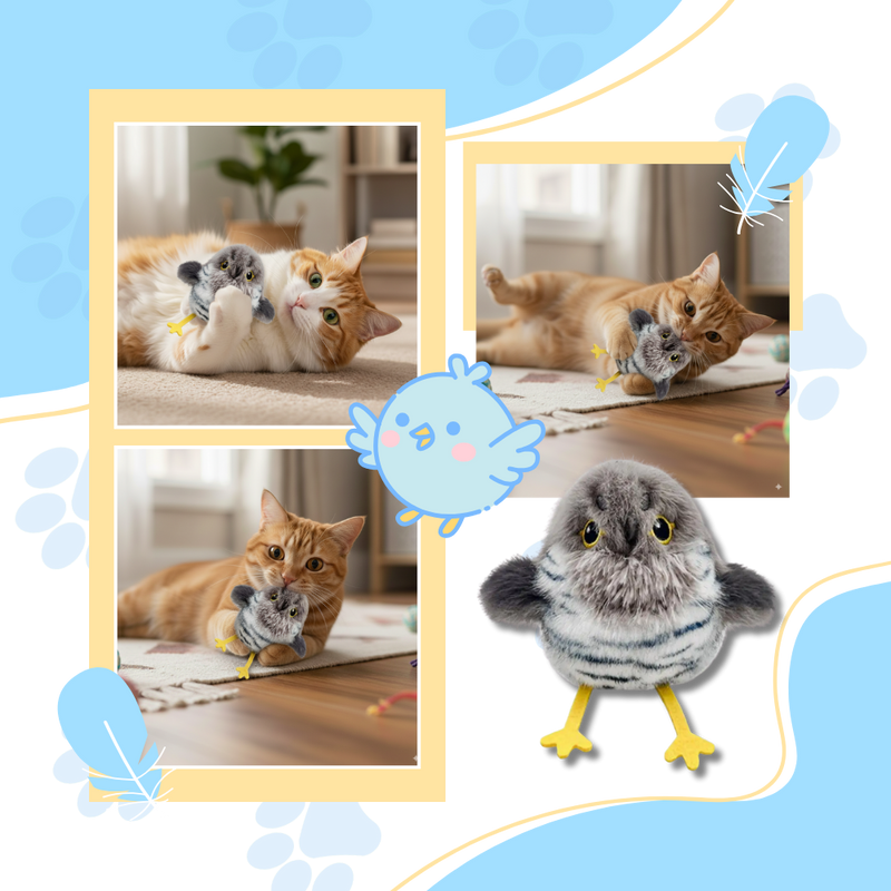 Jouet interactif oiseau pour chat