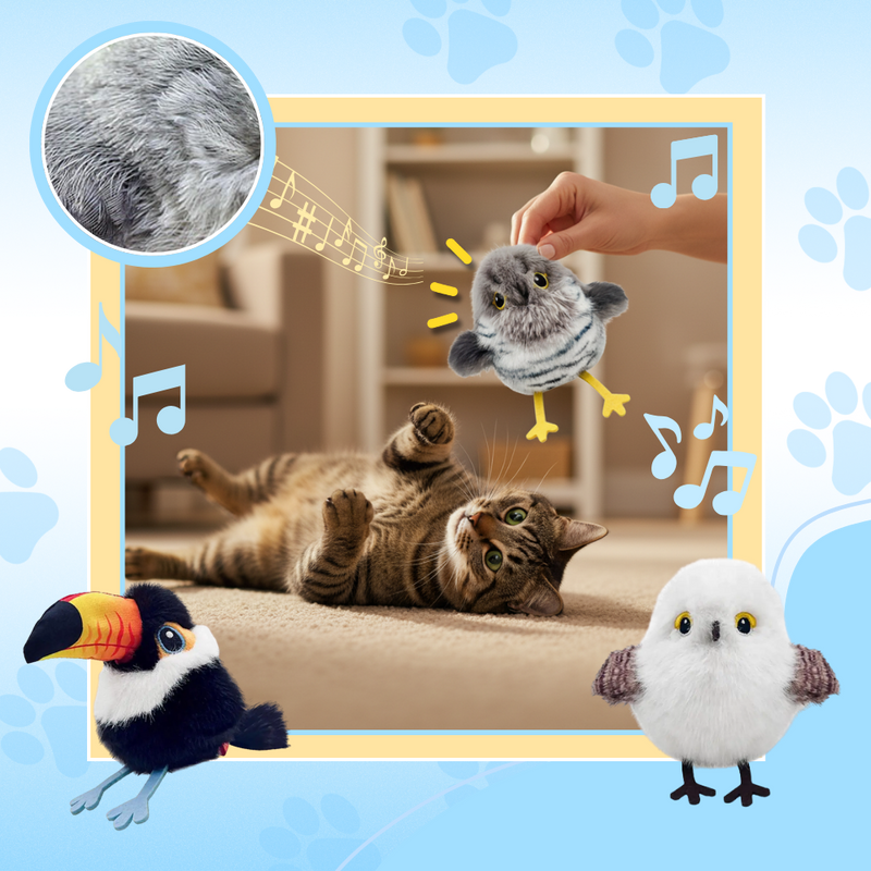 Jouet interactif oiseau pour chat
