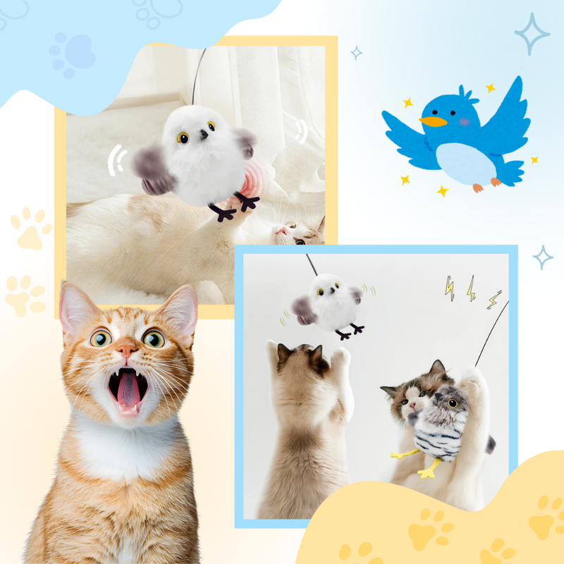 Jouet interactif oiseau pour chat