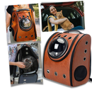 Sac à dos de voyage pour chats