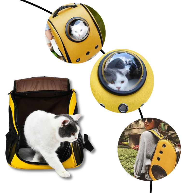 Sac à dos de voyage pour chats