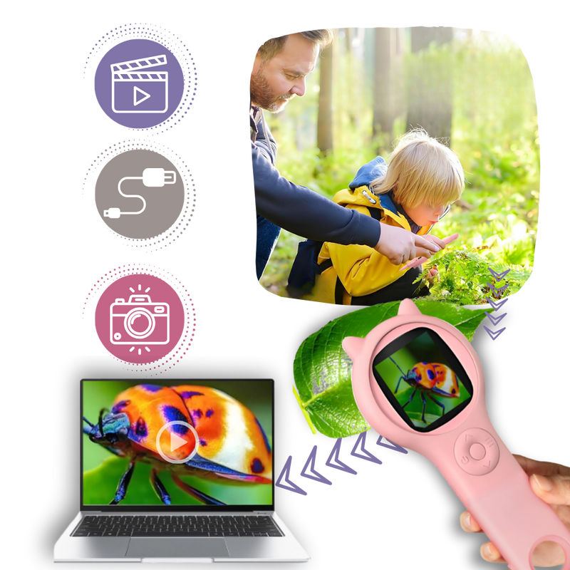 Microscope portable à visibilité optimale