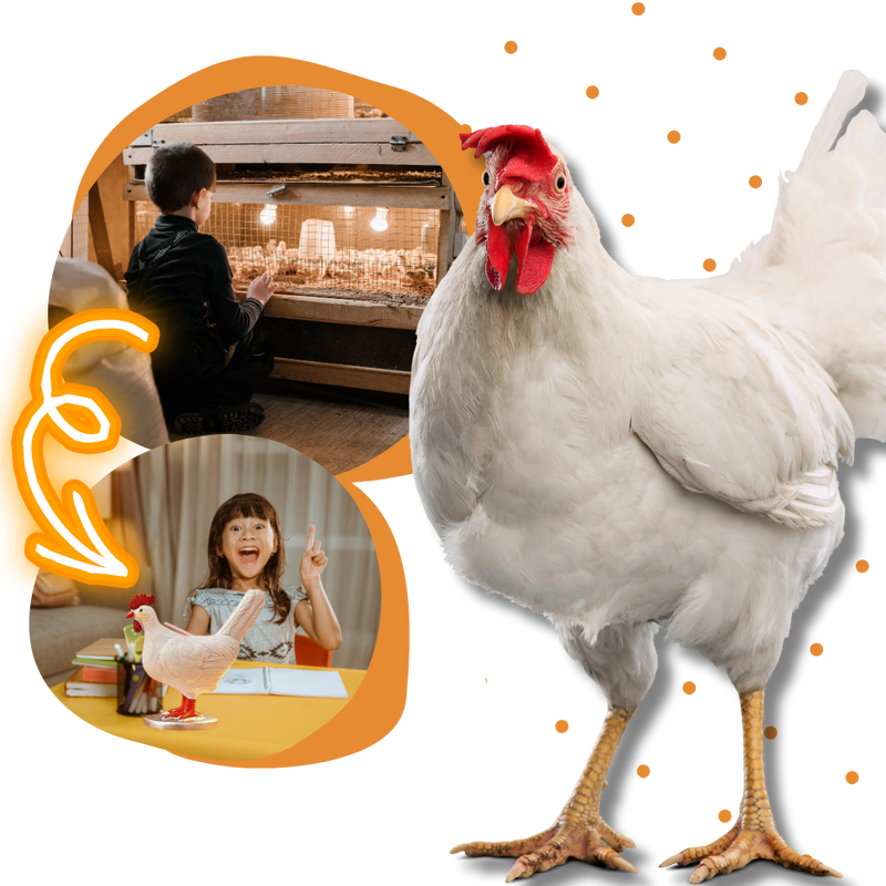 Lampe douce en forme de poule