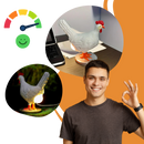 Lampe douce en forme de poule