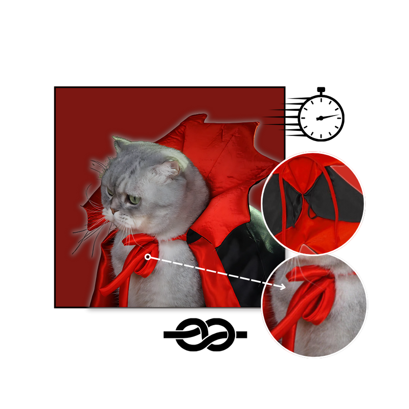 Costume d'Halloween Dracula pour animaux de compagnie