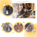 Porte-clés capsule poils de chat