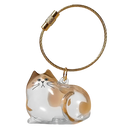 Porte-clés capsule poils de chat