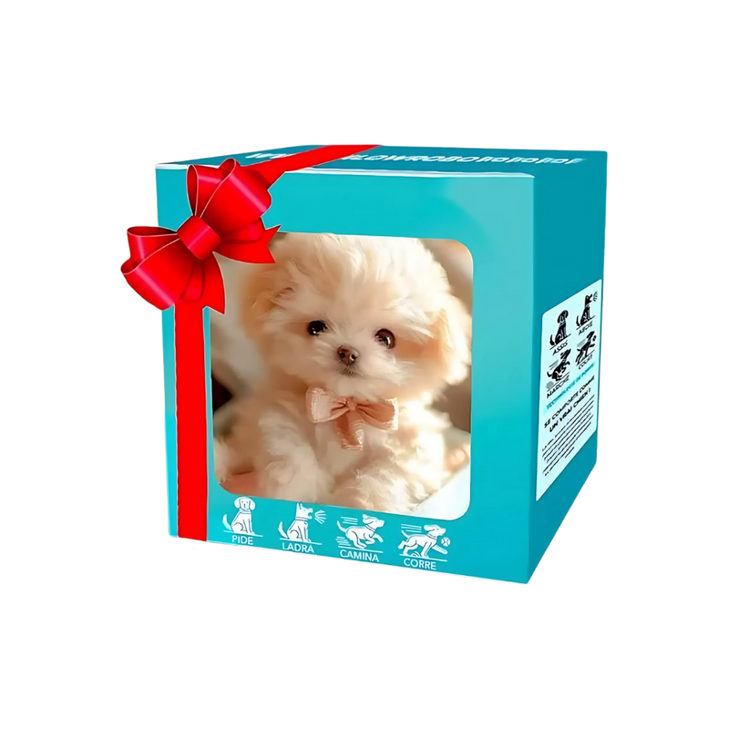 Adorable robot chaton/chiot