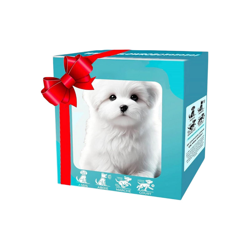 Adorable robot chaton/chiot