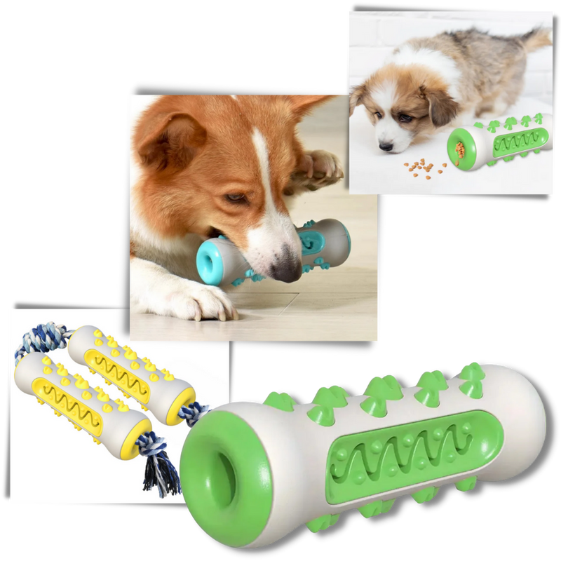 Jouet à mâcher pour chiens