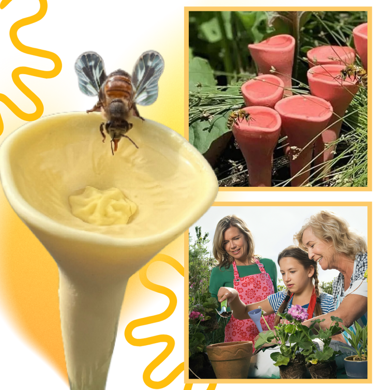 Abreuvoirs pour abeilles discrets et attrayants