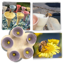 Abreuvoirs pour abeilles discrets et attrayants