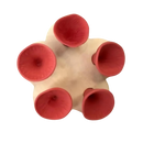 Abreuvoirs pour abeilles discrets et attrayants