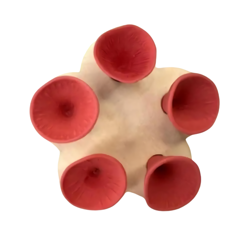 Abreuvoirs pour abeilles discrets et attrayants