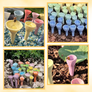 Abreuvoirs pour abeilles discrets et attrayants