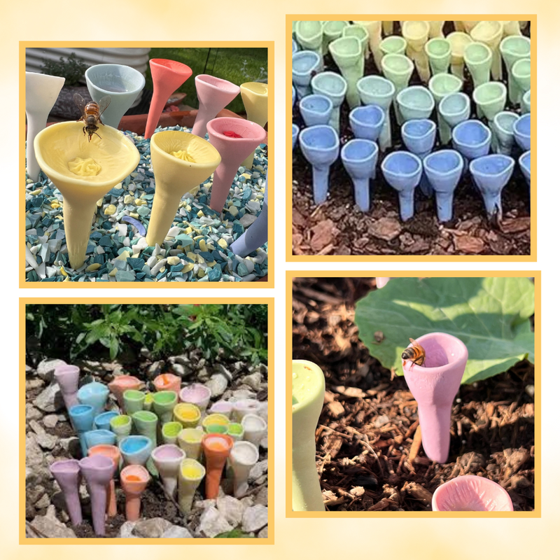 Abreuvoirs pour abeilles discrets et attrayants