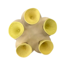 Abreuvoirs pour abeilles discrets et attrayants