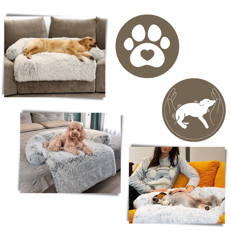 Protège-meubles apaisant pour chiens