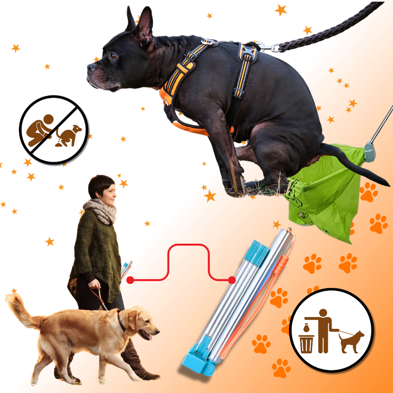 Ramasse-crottes facile à nettoyer