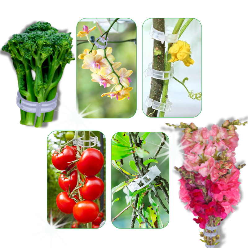 Support de plantes facile à clipser