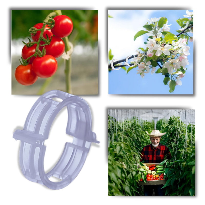 Support de plantes facile à clipser