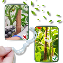 Support de plantes facile à clipser