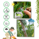 Support de plantes facile à clipser