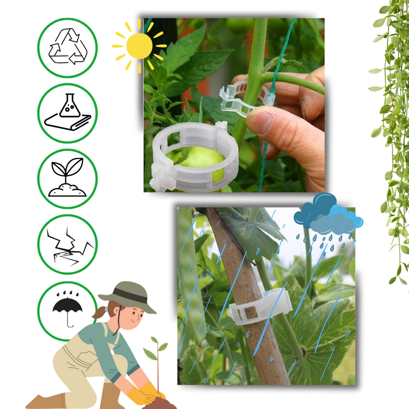 Support de plantes facile à clipser