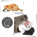 Bol confort surélevé pour chats