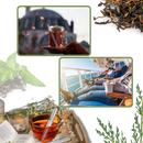 Passoire à thé en acier inoxydable à mailles fines