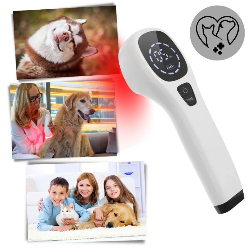 Appareil portatif de thérapie par infrarouge pour animaux de compagnie