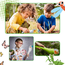 Piège à insectes avec vue HD