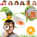 Piège à insectes avec vue HD