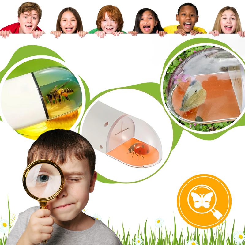 Piège à insectes avec vue HD