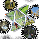 Scie circulaire pour coupe-bordures en acier à grande vitesse