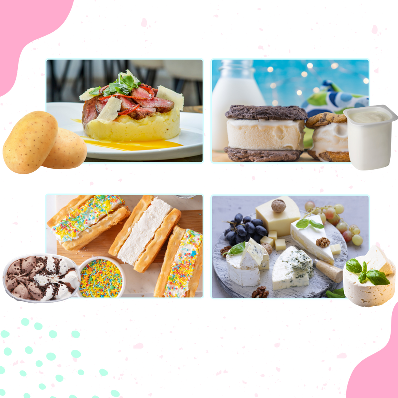 Cuillère à Cylindres de Crème Glacée