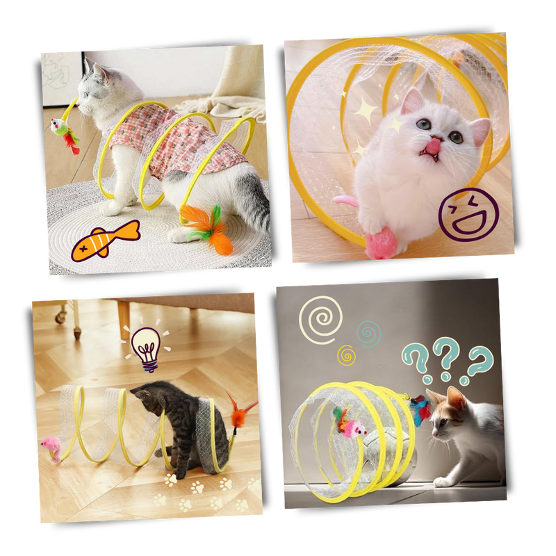 Tunnel compact interactif pour chats